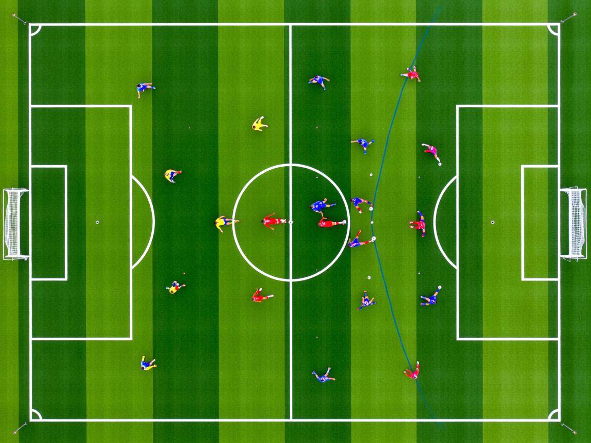 杏彩直播-体育社会组织能力建设大会成功举办，体育社会组织发展历程  第1张